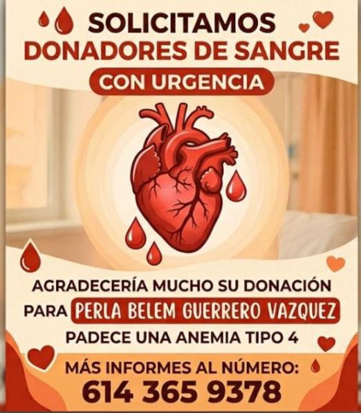 Solicitan donadores de sangre para Perla Belem Guerrero
