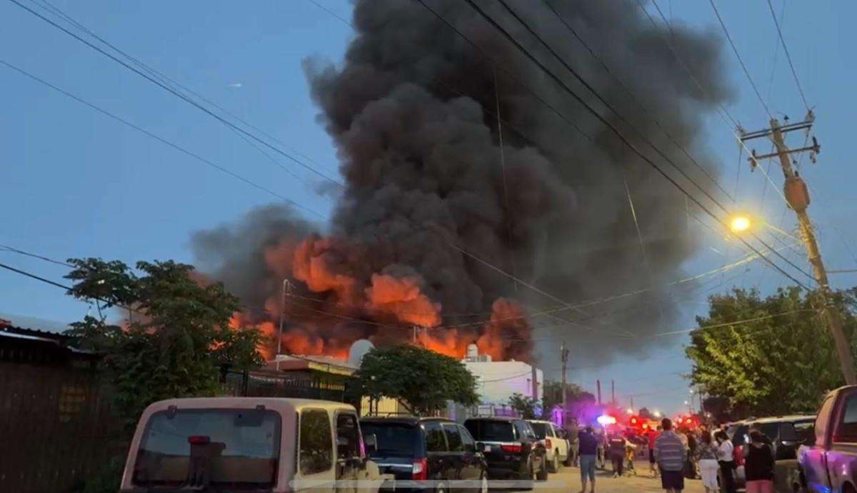 Fuerte incendio en bodega con animales