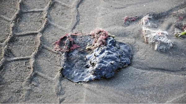 Recolectan 800 toneladas de crudo tras derrame en el Golfo