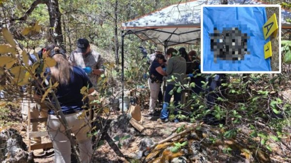 Hallan restos óseos en Bocoyna