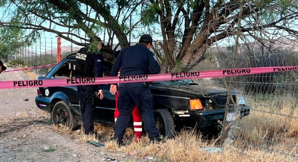 Muere al chocar con árbol