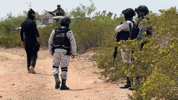 Hallan restos óseos en brecha de Casa Grandes