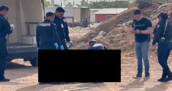 Investigan rabia en perros que atacaron a hombre