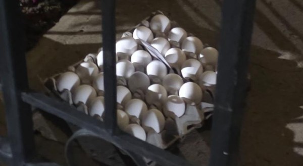 Carteras de huevo en domicilios causan desconcierto