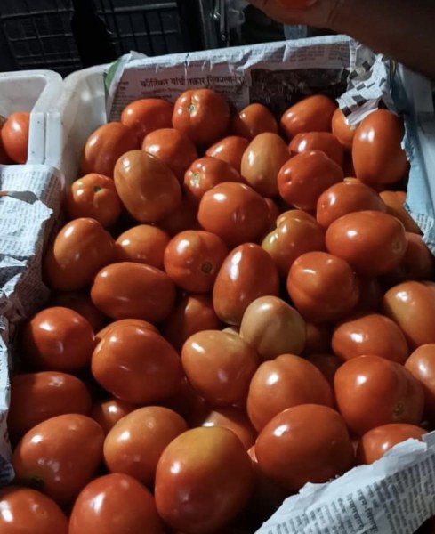 Escala el Tomate: Se Dispara más del 120% y Golpea la Canasta Básica