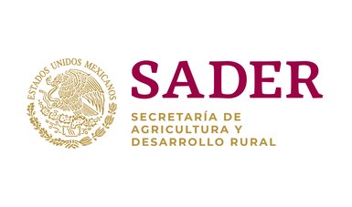 Desmiente Sader reanudación de exportación de ganado a EU