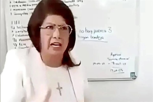 Admite senadora sacrificio de 10 mil perros