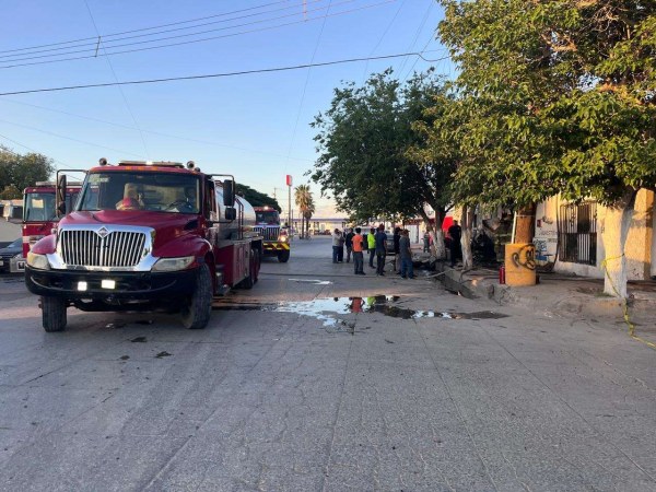 Muere perro calcinado en incendio