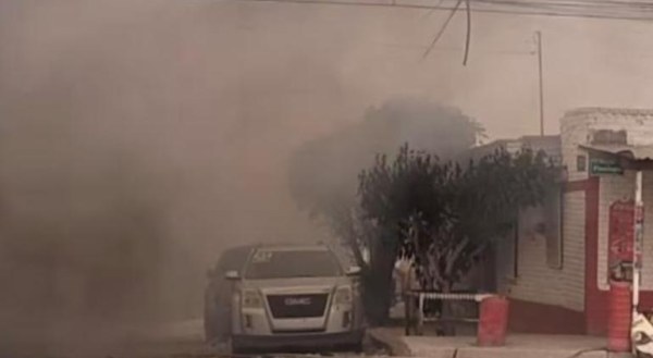 Mueren tres perros calcinados tras incendio