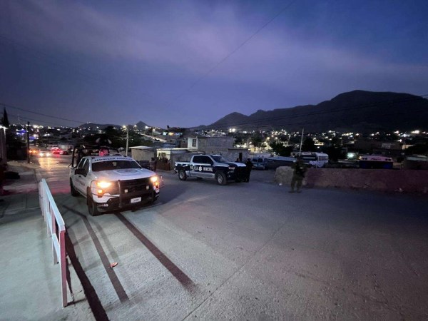 Hallan cuerpo devorado por perros