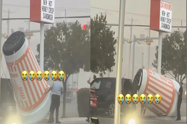 Vientos casi se llevan inflable de Whataburger
