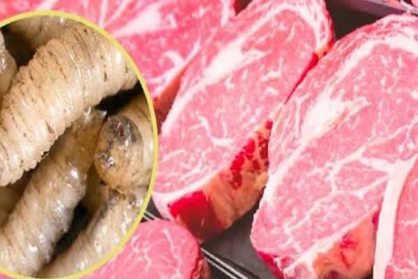 Carne y gusano barrenador: ¿Cuál es el riesgo real de consumo?