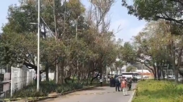 Hallan muerto colgado de árbol en CDMX