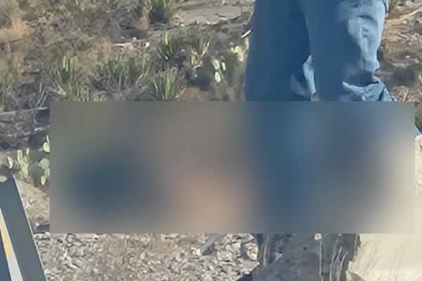 Hallan a joven sin vida en el Camino Real