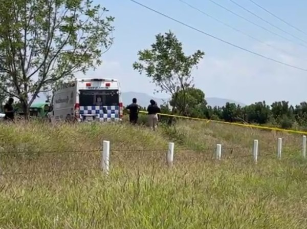 Hallan mujer sin vida en predio nogalero