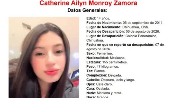 Desaparece en la Panorámico