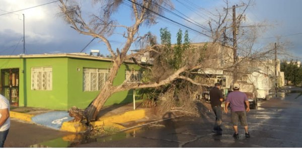 Lluvias dejan afectaciones en Delicias, Aldama y la capital