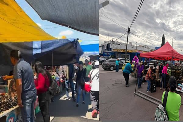 Productores de Saucillo venden fruta barata sin intermediarios