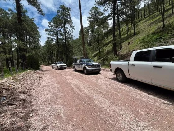 Armados roban pick up a turista en carretera a Guachochi