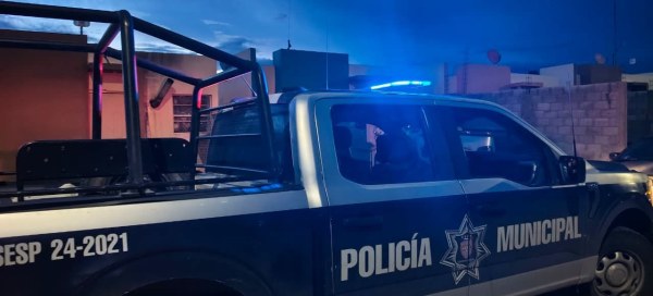 Perro ataca a dos niños