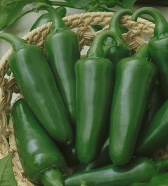 Alerta sanitaria en Texas por jalapeños de México contaminados con salmonela