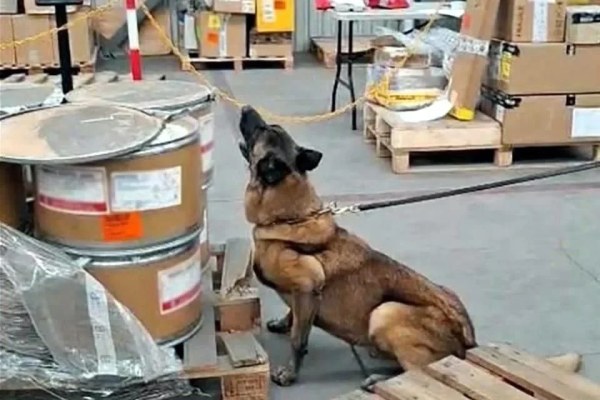Hallan 245 kilos de metanfetamina en aeropuerto