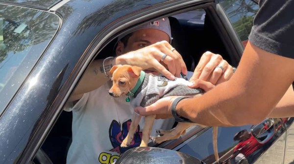 Diego Campillo se hace viral tras autografiar a perro Chihuahua