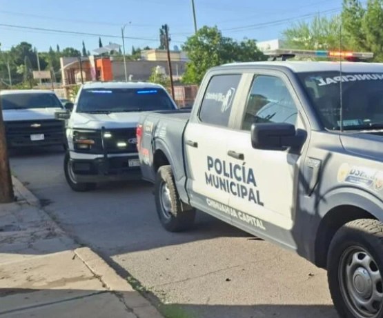 Armados roban dos camionetas de corralón