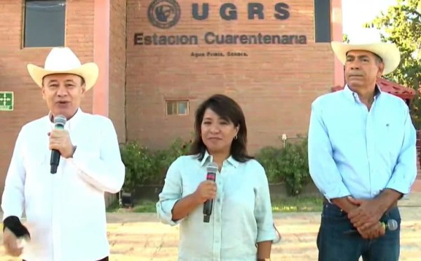 Reabren exportación ganadera por Sonora