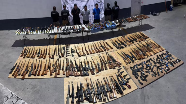 Decomisan más de 200 armas procedentes de Texas en Nuevo León