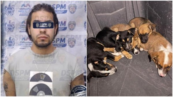 Lo detienen por presunto maltrato animal