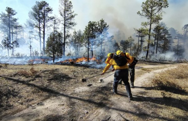 Chihuahua, sin incendios activos gracias a las lluvias