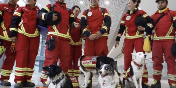 Misión cumplida! Regresan brigadistas y 14 canes tras apoyar a Venezuela
