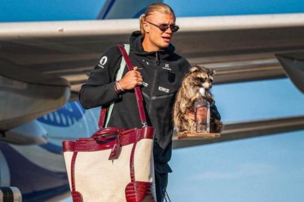 Haaland llega a Noruega acompañado de mapache