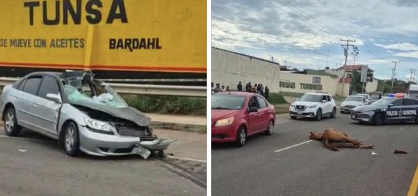 Choque vs caballo deja tres lesionados