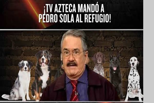 Críticas a ‘Ventaneando’ por forzar encuentro de Pedro Sola con perros