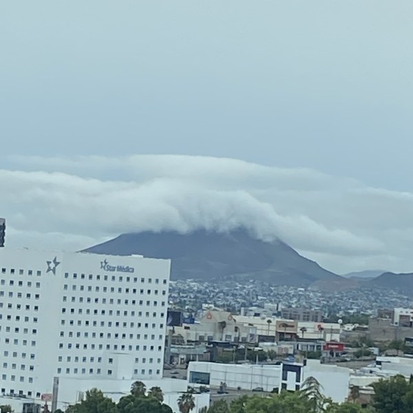 Día cálido y noche con tormentas: Máxima de 31°C