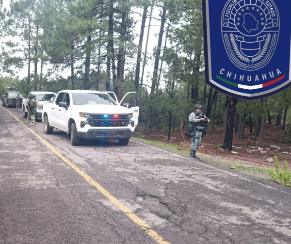 Identifican a 2 ejecutados en Guadalupe y Calvo