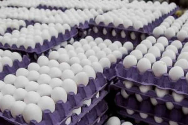 Retiran 1.5 millones de docenas de huevos en EE.UU. por salmonela