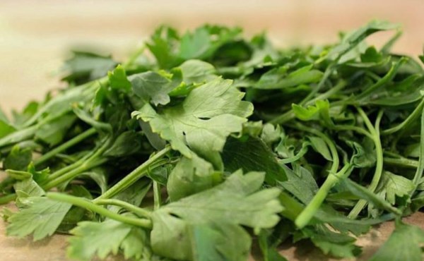 EU ahora sospecha del cilantro y perejil mexicanos