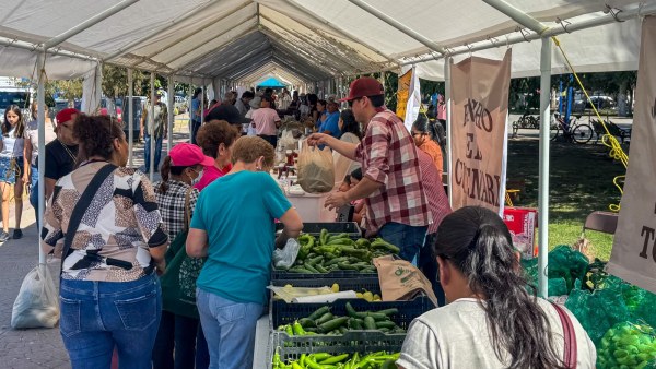Brindan espacio gratuito a productores para ofrecer sus cosechas