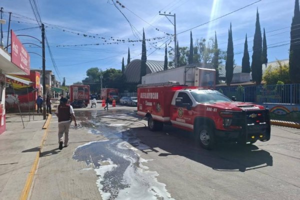 Evacúan escuela tras ataque de abejas a estudiantes