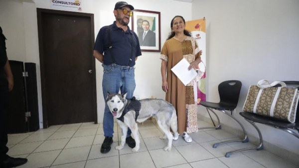 Regresan a Sasha a su dueño tras concluir observación