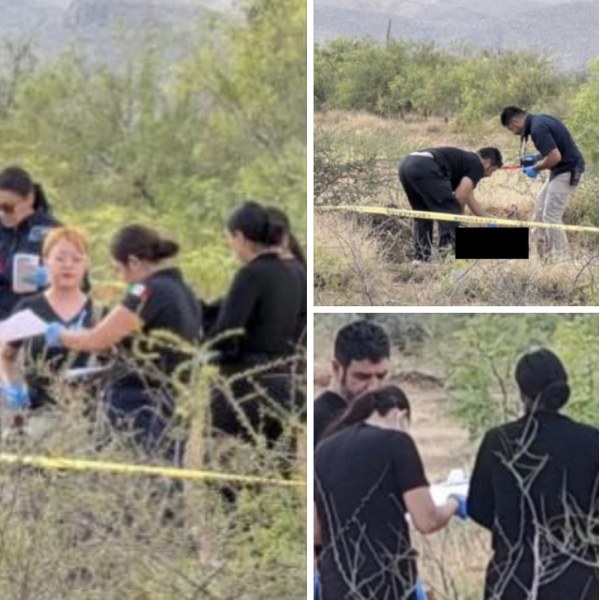 Identifican a hombre localizado sin vida en la carretera a Aldama