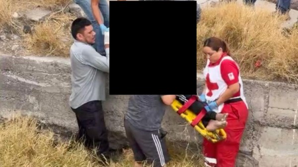 Lo atropellan en carretera