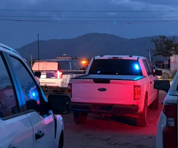 Ejecutan a uno en pelea de gallos clandestina