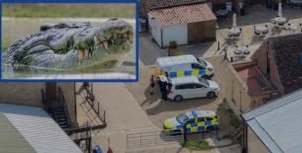 Detienen a hombre por arrojar a niño de 3 años a fosa de cocodrilos
