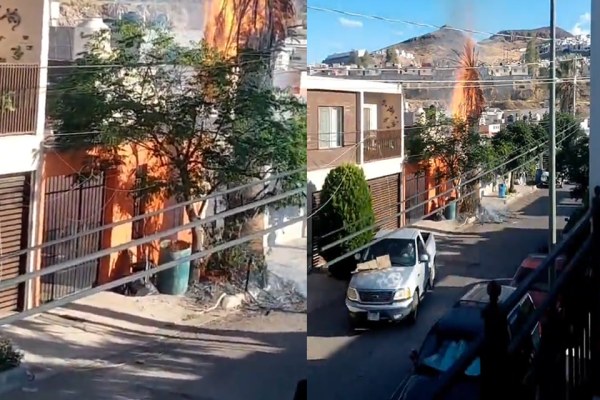 Incendio en palmera deja sin luz a vecinos