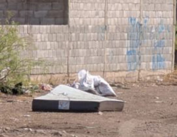 Investigan hallazgo de cuerpo en descomposición en la colonia Camino Real