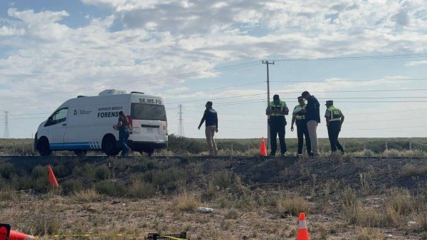 Muere atropellado en la Panamericana
